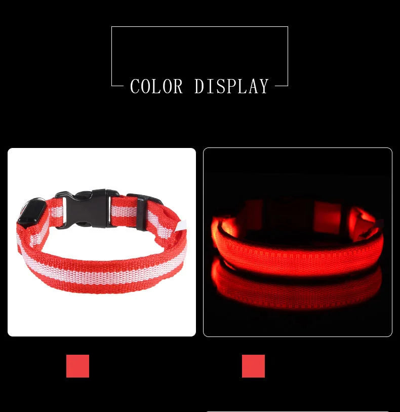 Coleira de Nylon LED para Pets